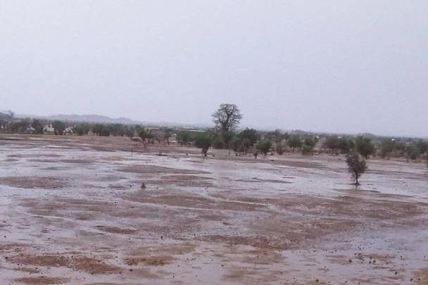 صورة تخدم النص