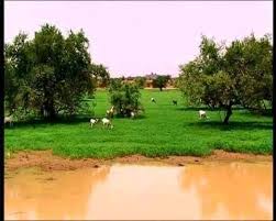 مناظر من ولاية لبراكنة