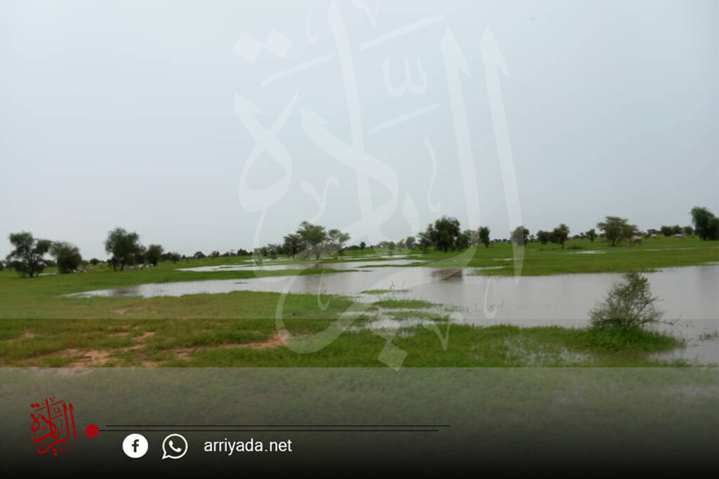 صورة تخدم النص