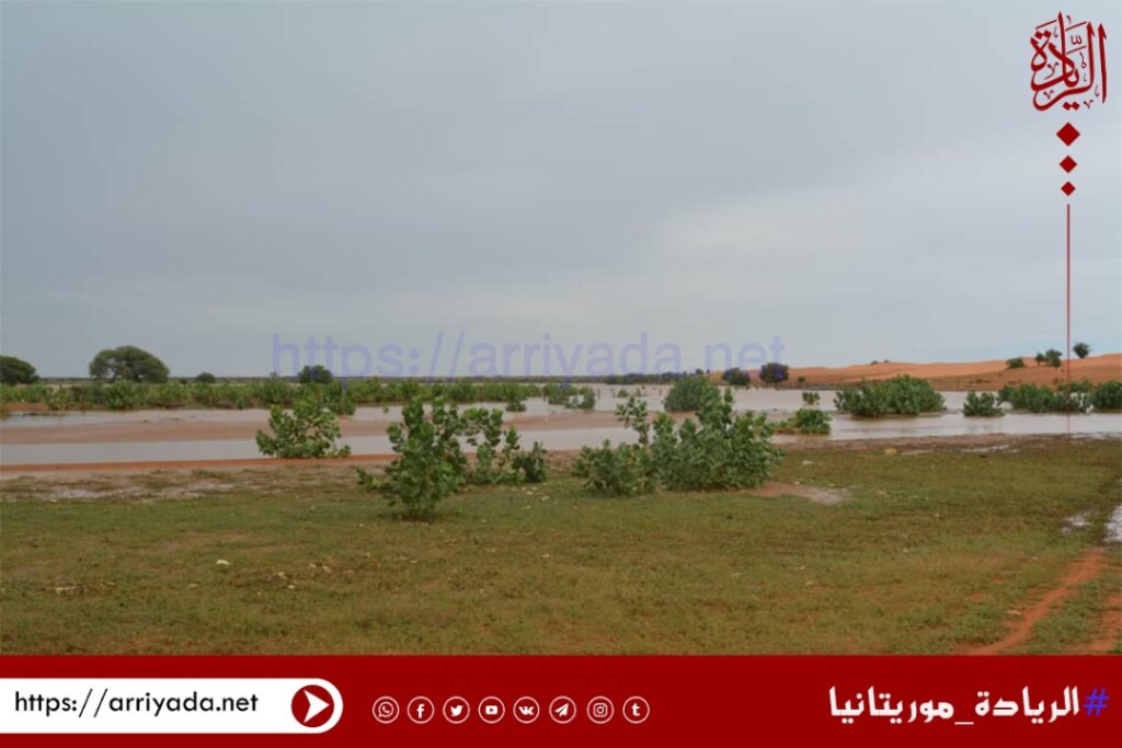 صورة من الأمطار الأخيرة على قرية لمعود/ الريادة.نت