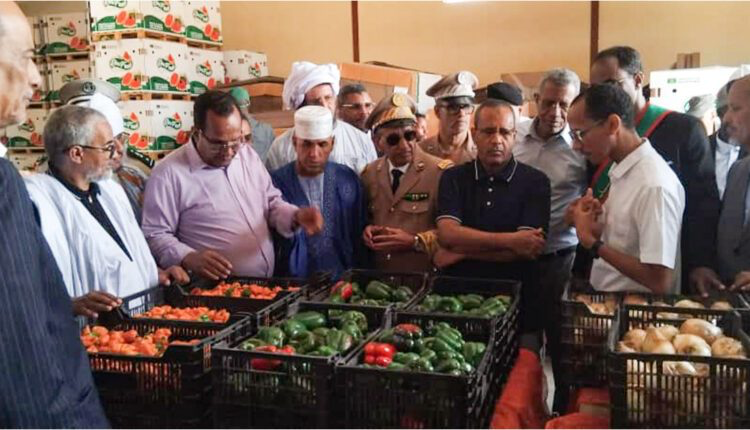 وزير الزراعة: رئيس الجمهورية يولي عناية خاصة للقطاع ونواصل الجهود لتحقيق السيادة الغذائية