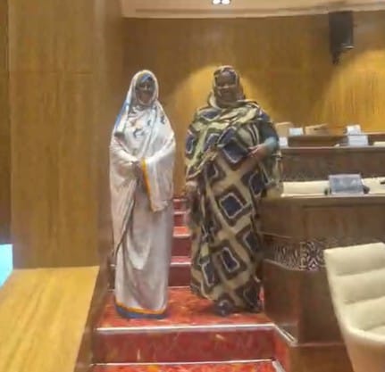 بعد قرار المجلس الدستوري.. عاشور ومريم الشيخ تعودان إلى مقاعد البرلمان