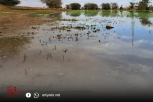 خلال ال24 ساعة.. تساقطات مطرية على مناطق متفرقة من ولاية الحوض الشرقي