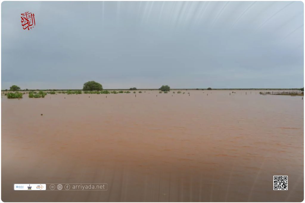 أمطار معتبرة على مناطق من الحوض الشرقي وكيدي ماغه