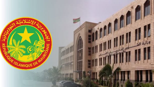 وزير الخارجية الموريتاني يبحث مع نظيره الباكستاني القضايا الدولية والعلاقات الثنائية