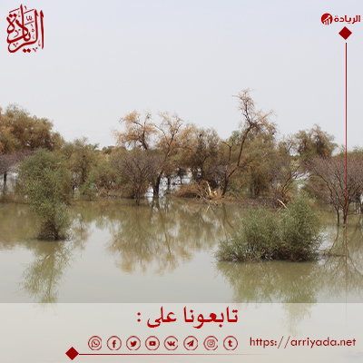 مقاييس الأمطار المسجلة في البلاد يومي 3 و4 أكتوبر